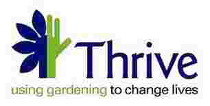 Picture of Thrive logo